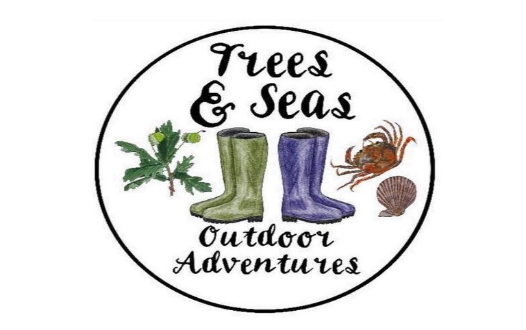 Trees and Seas 3 768x482