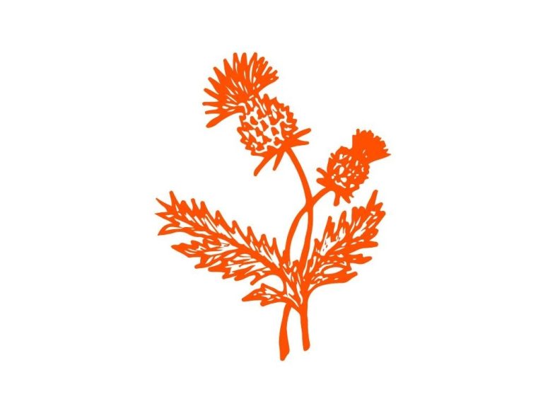 associaon espanola alba 768x564